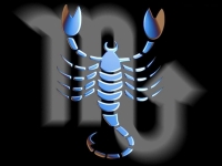 13566