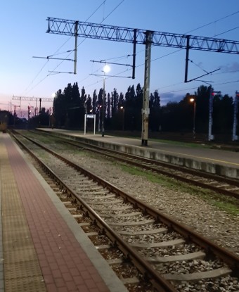 6331