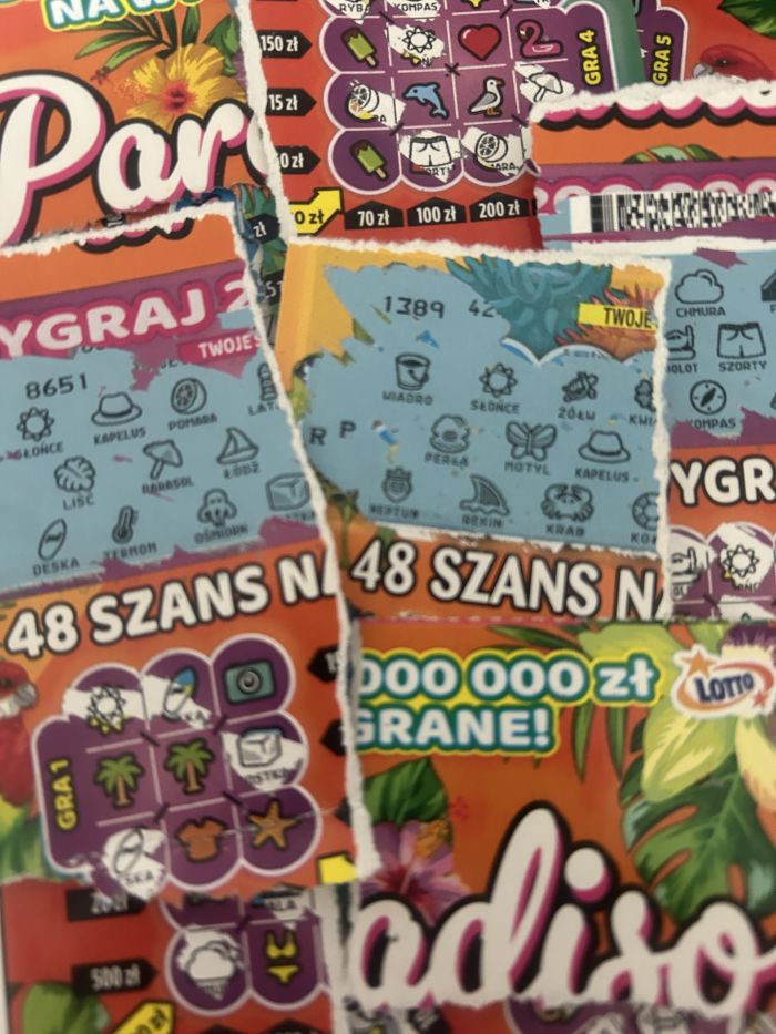 zdjęcie