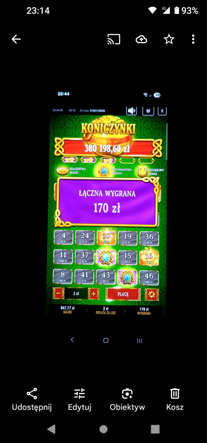 zdjęcie