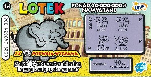 zdjęcie