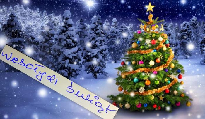 {{img22849.745d9307c659169c504ffb3f8ec3c9a4.jpg}}