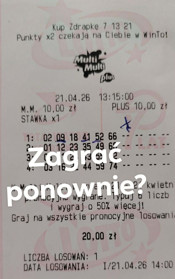 zdjęcie