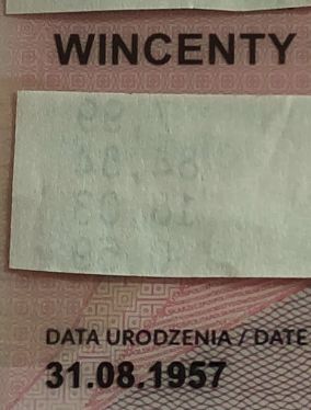 zdjęcie