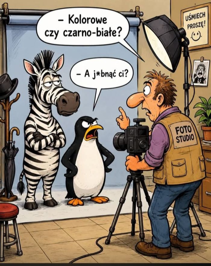 zdjęcie