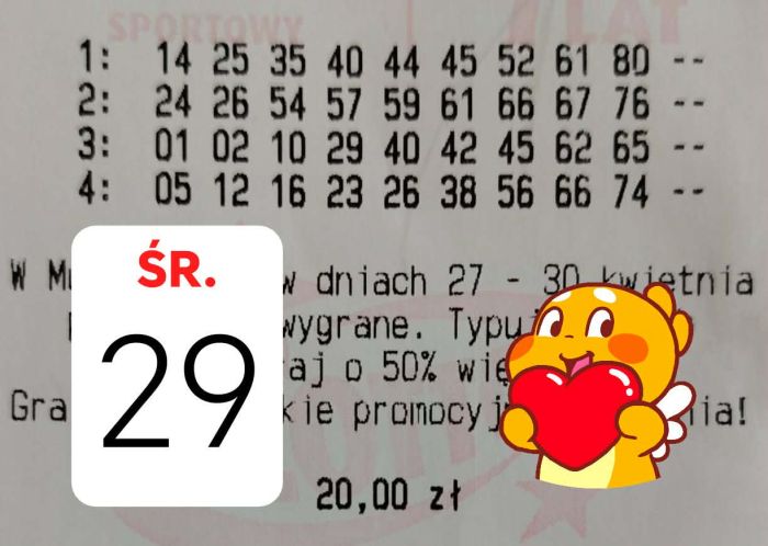 zdjęcie