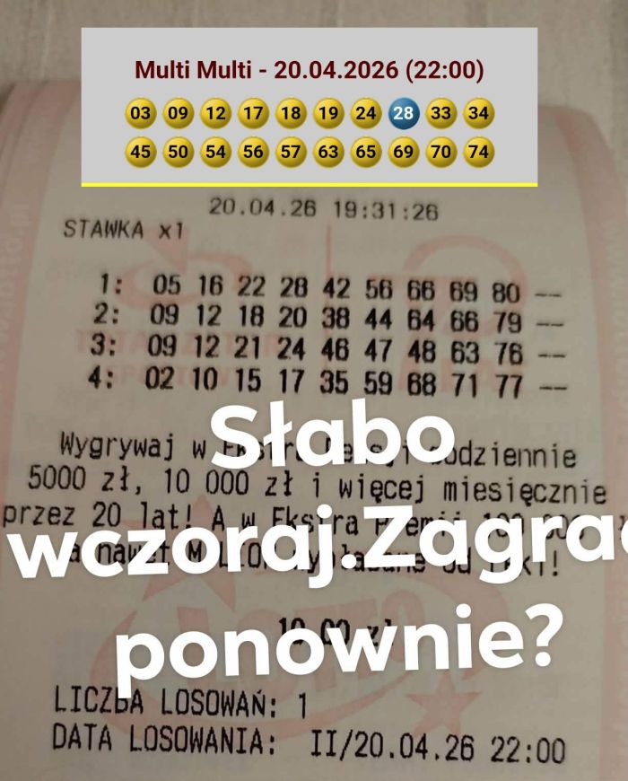 zdjęcie