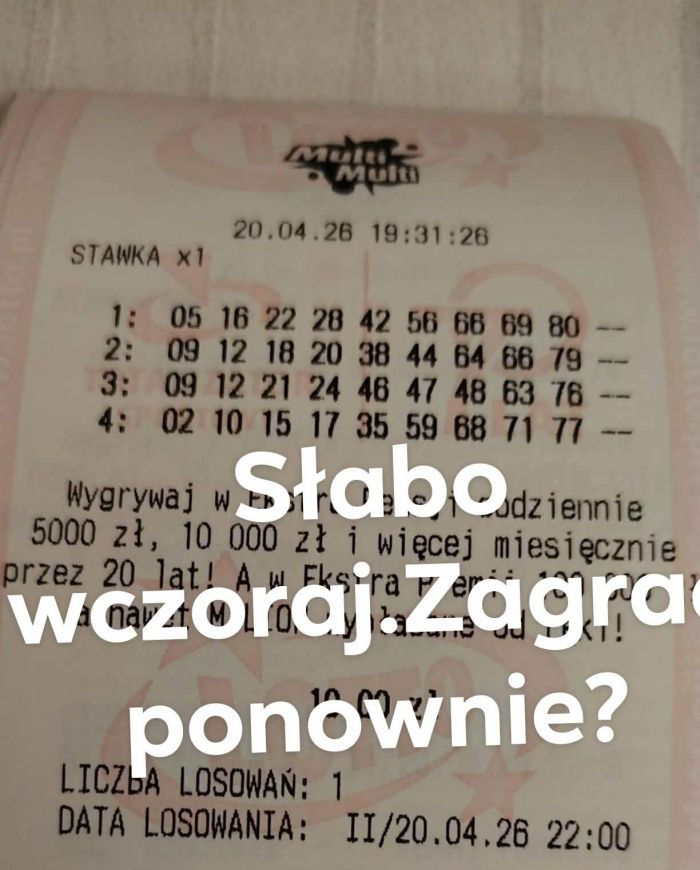 zdjęcie
