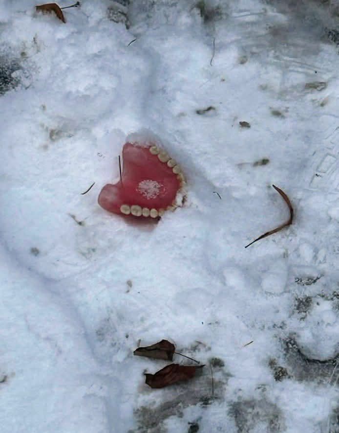{{img34248.e38cfb9768d2377abed7be0cc9a6c9bf.jpg}}