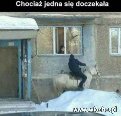 {{img34799.36d35c6a87d18b9e2d00d9f6e6ff637b.jpg}}