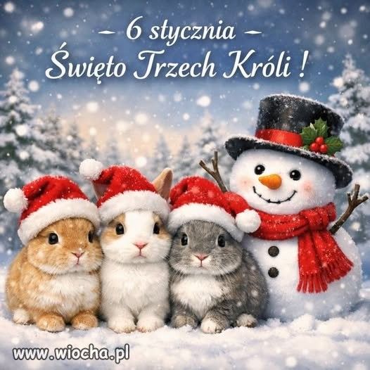 {{img34799.f6413b60f542210eae087962e9da367a.jpg}}