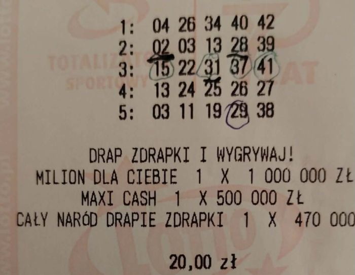 zdjęcie