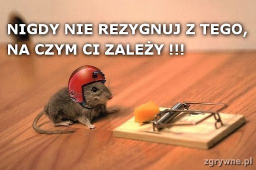 {{img40881.352e0b79d403f70ab4ce22fb02b7908d.jpg}}
