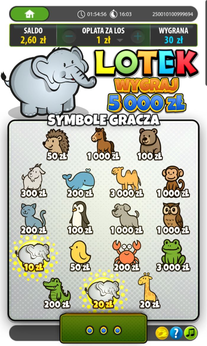zdjęcie