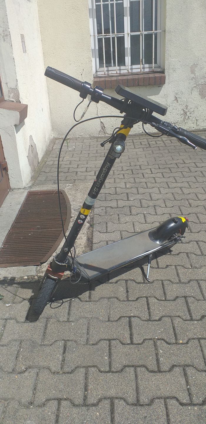 zdjęcie