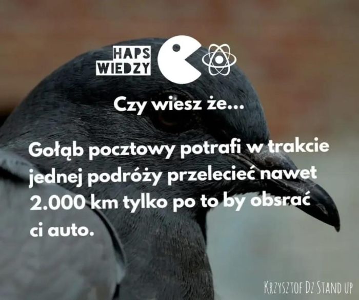 {{img46960.3a00064a3b00b33b6475bcc34534a2b8.jpg}}