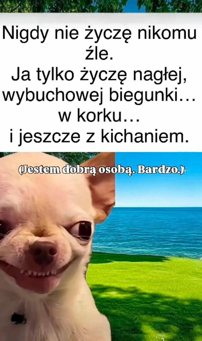 {{img46960.b38d8343cb1597fba00e665377faf2ab.jpg}}