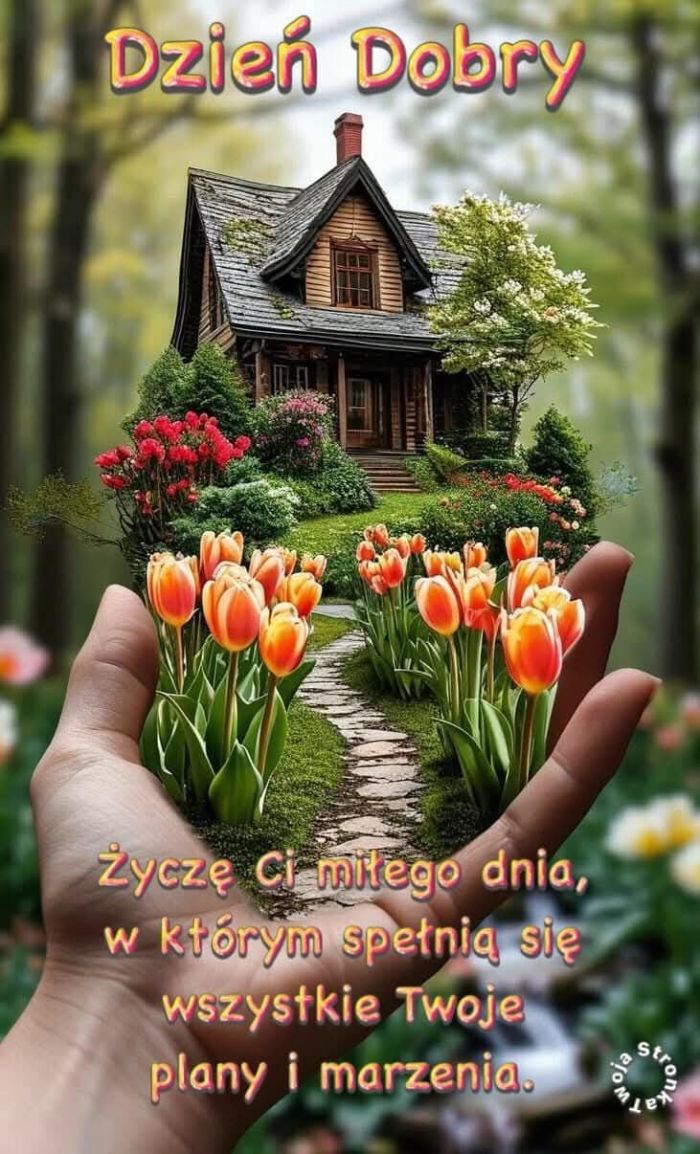 zdjęcie