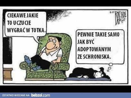{{img46967.2dd57ed5088403ae73e6bb6ce8d59a9b.jpg}}