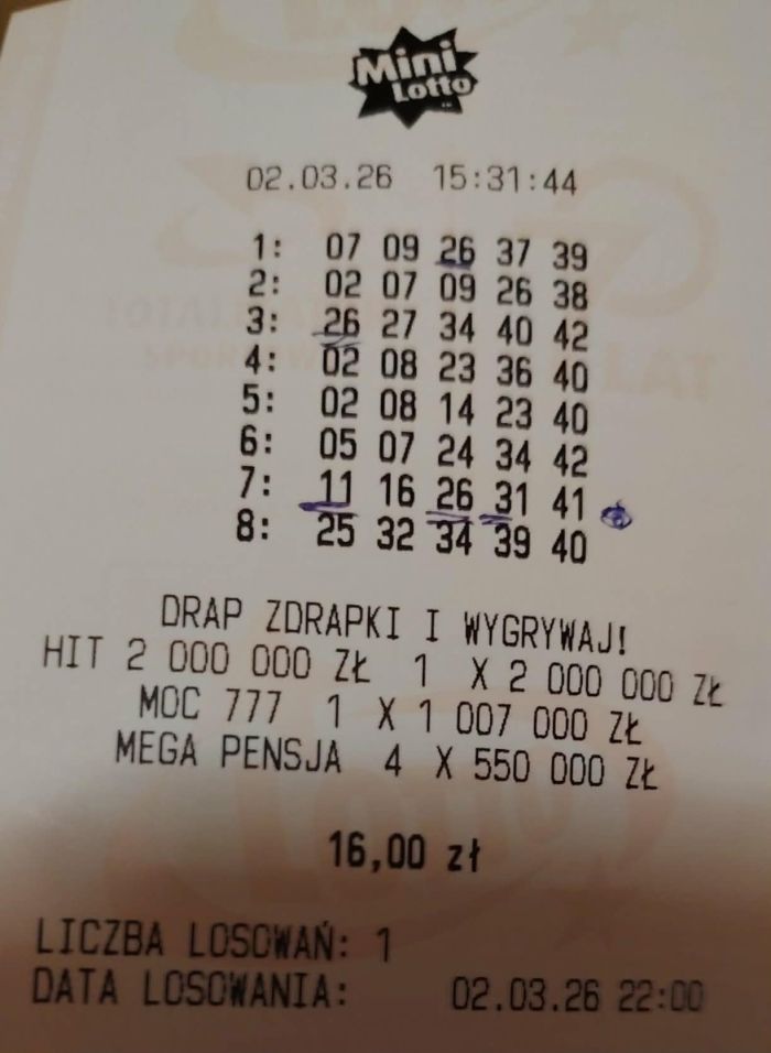 zdjęcie