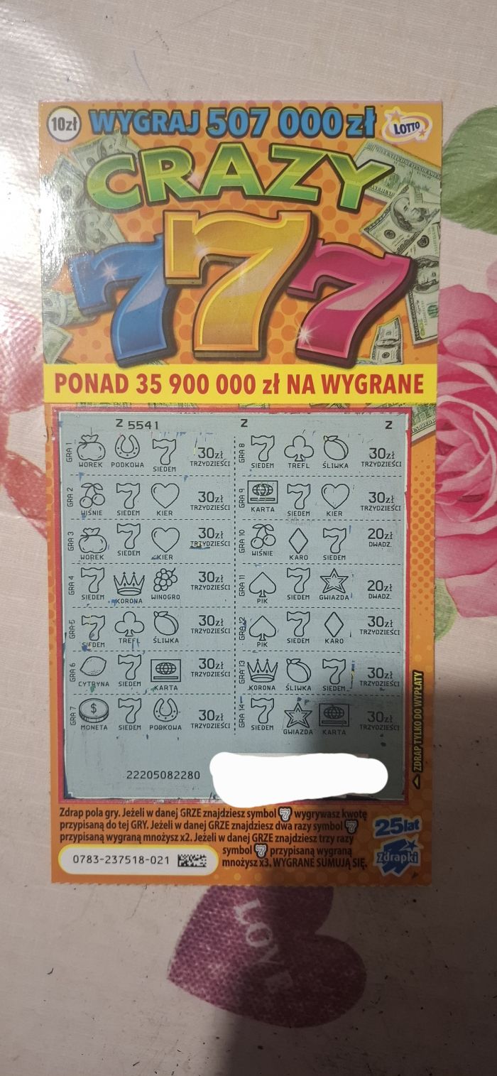 zdjęcie