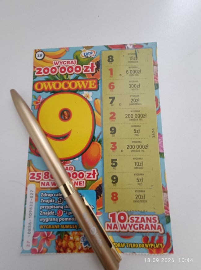zdjęcie