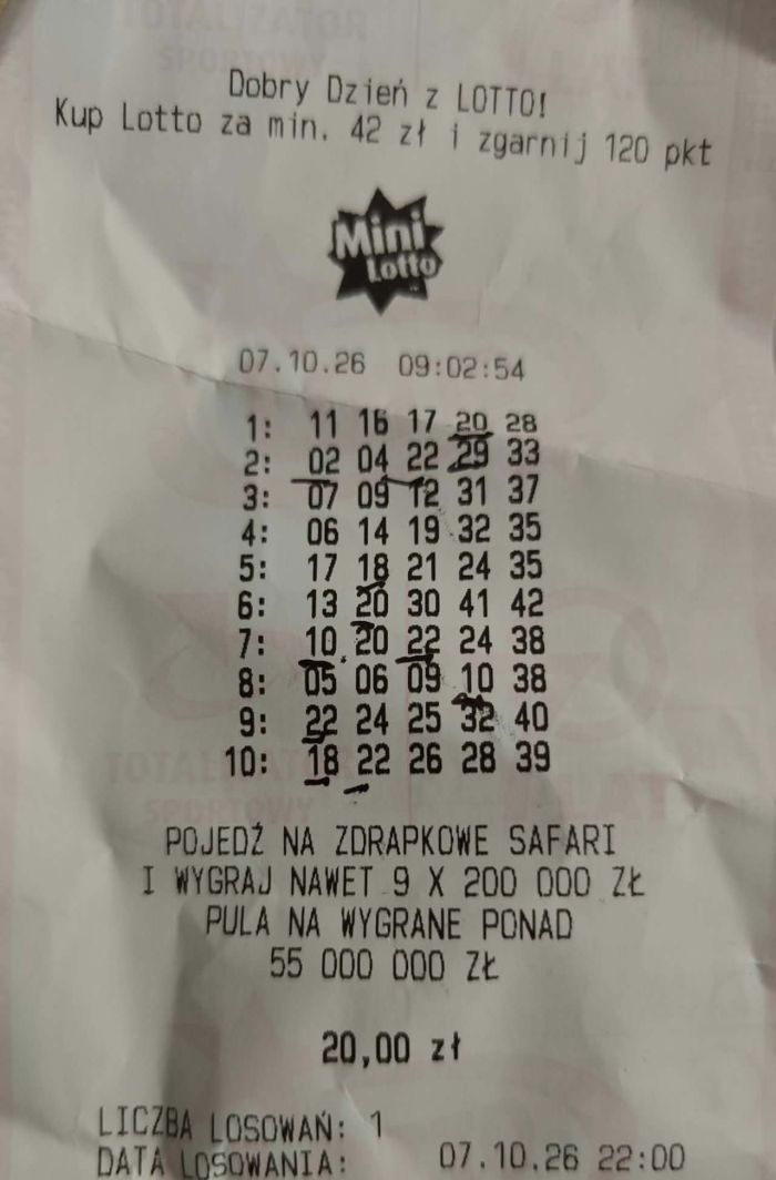 zdjęcie