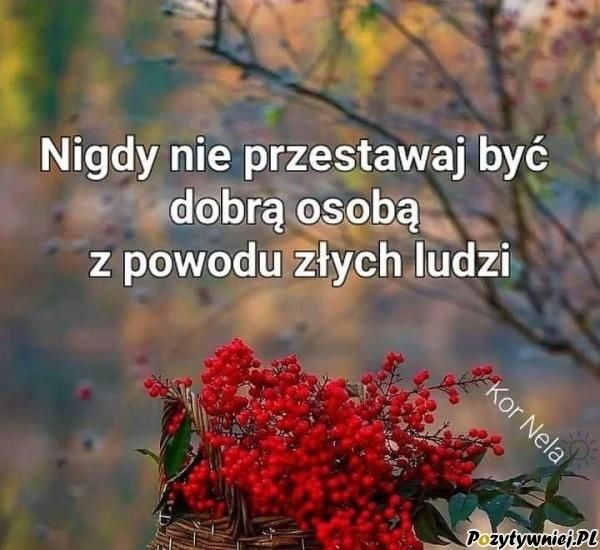 {{img59.3ff49c212ec13cf838f29cc09ca770b2.jpg}}