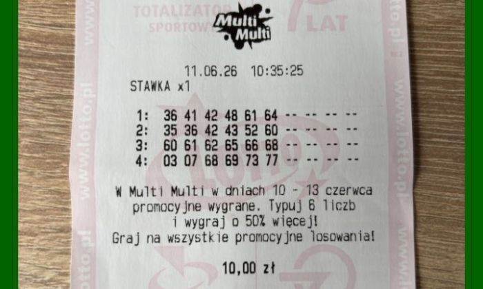 zdjęcie